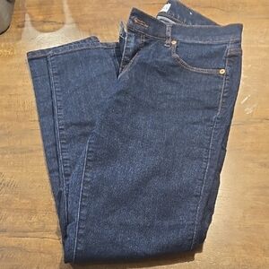 LOFT Blue Skinny Jeans Classic Denim